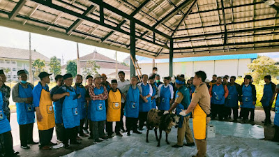 Ingin Tahu Tata Cara Halal Menyembelih Hewan, Ikuti PKH UIN Bandung 