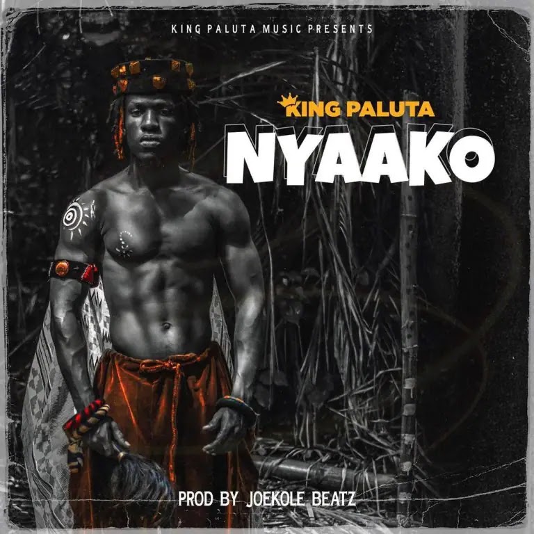 Nyaako artwork