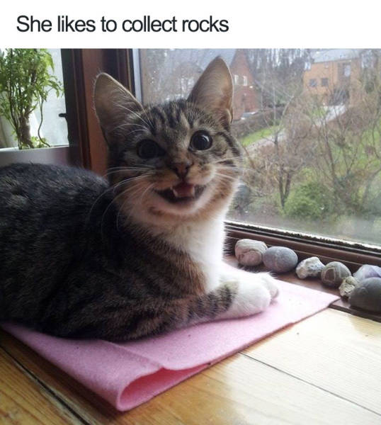 She likes to collect rocks.