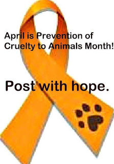 April is prevention of cruelty to Animals Month.