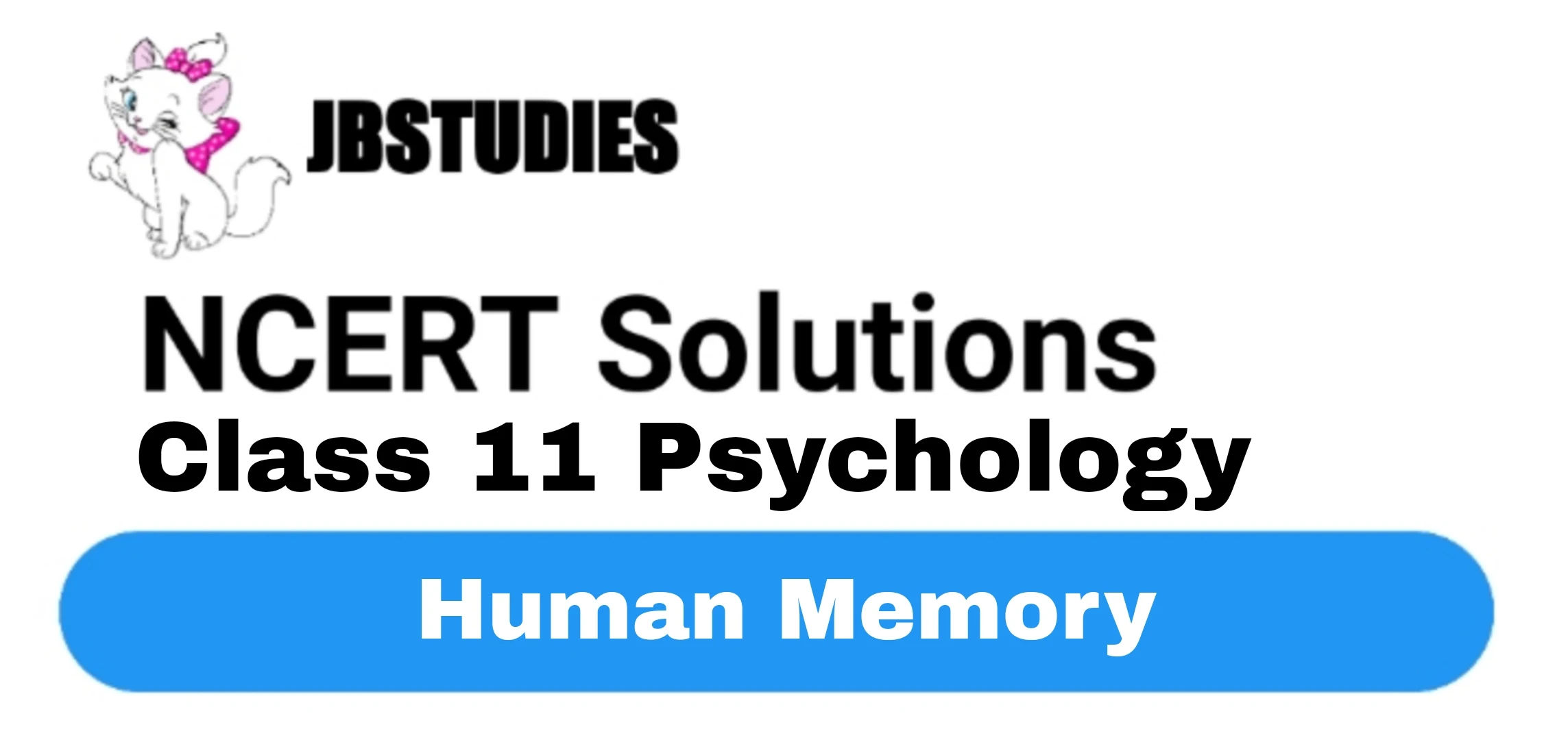 Solutions Class 11 Psychology Chapter -7 (Human Memory)