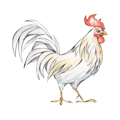 50+ Pencil sketch and Cartoon Images of Chicken