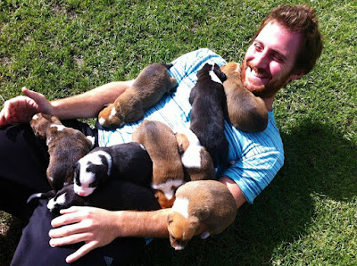 Smiling man with puppies all over him