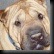 clip_image138