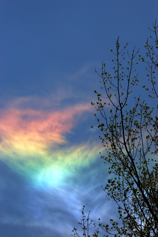 Que Es Un Arcoiris De Fuego Ciencia De Sofa