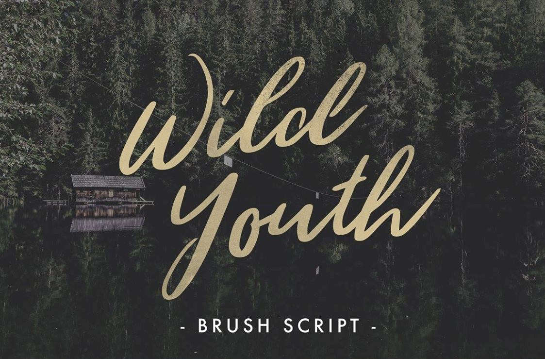 Download Font Terbaru 2016 - Wild Youth Font