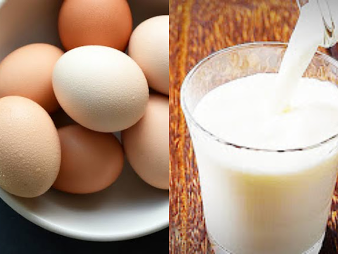 Best Breakfast: Eating 5 meals in the morning will meet your protein needs and increase your energy