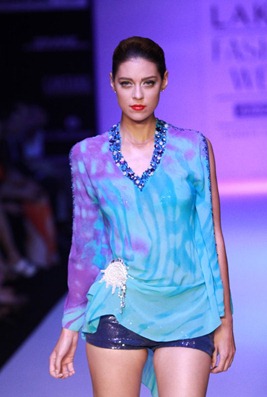 Day5 at LFS summer-resort 2011 by Satya Paul (4)