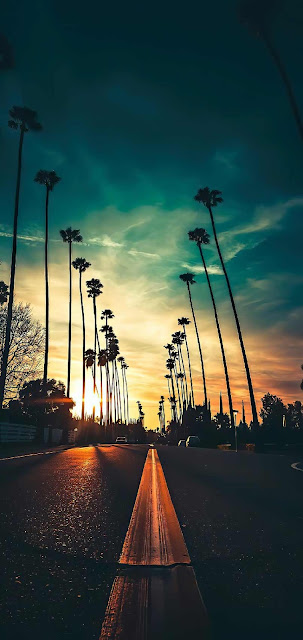 Phone Wallpaper: Street, Sunset, Palm Trees, Clouds, Sky