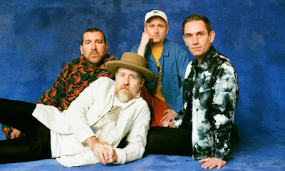 Hot Chip Band Picture