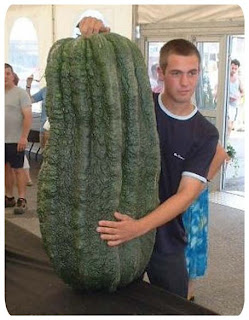 look at my large vegetable