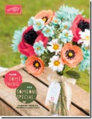 occasions catty cover