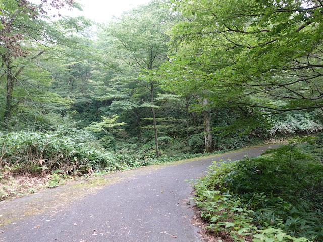 香取草谷展望駐車場に向かう山道