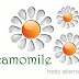 Eps - cdr file icon 3d camomile