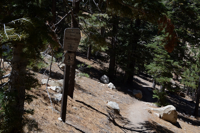 tiny wilderness sign and trail through the trees