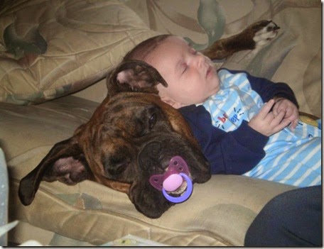 the right pacifier