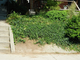 Palmerston Front Garden Cleanup after by Paul Jung Gardening Services Toronto