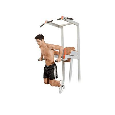 Parallel_Bar_Dips_4_sets_and_12/10/8/6_reps