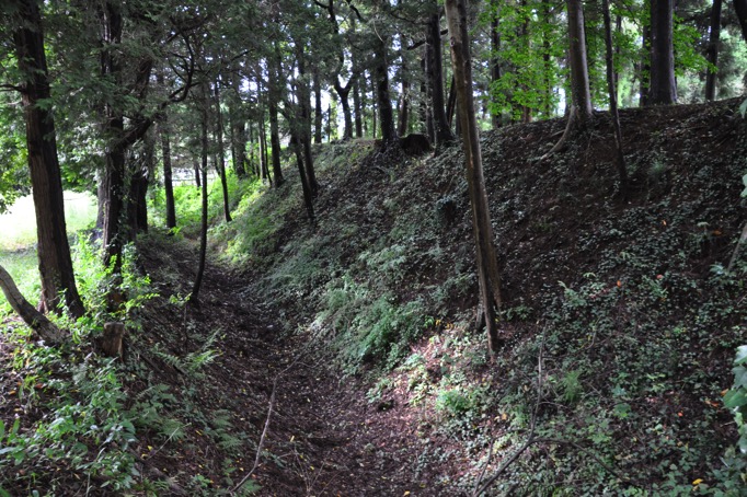 20150927 DSC 0245