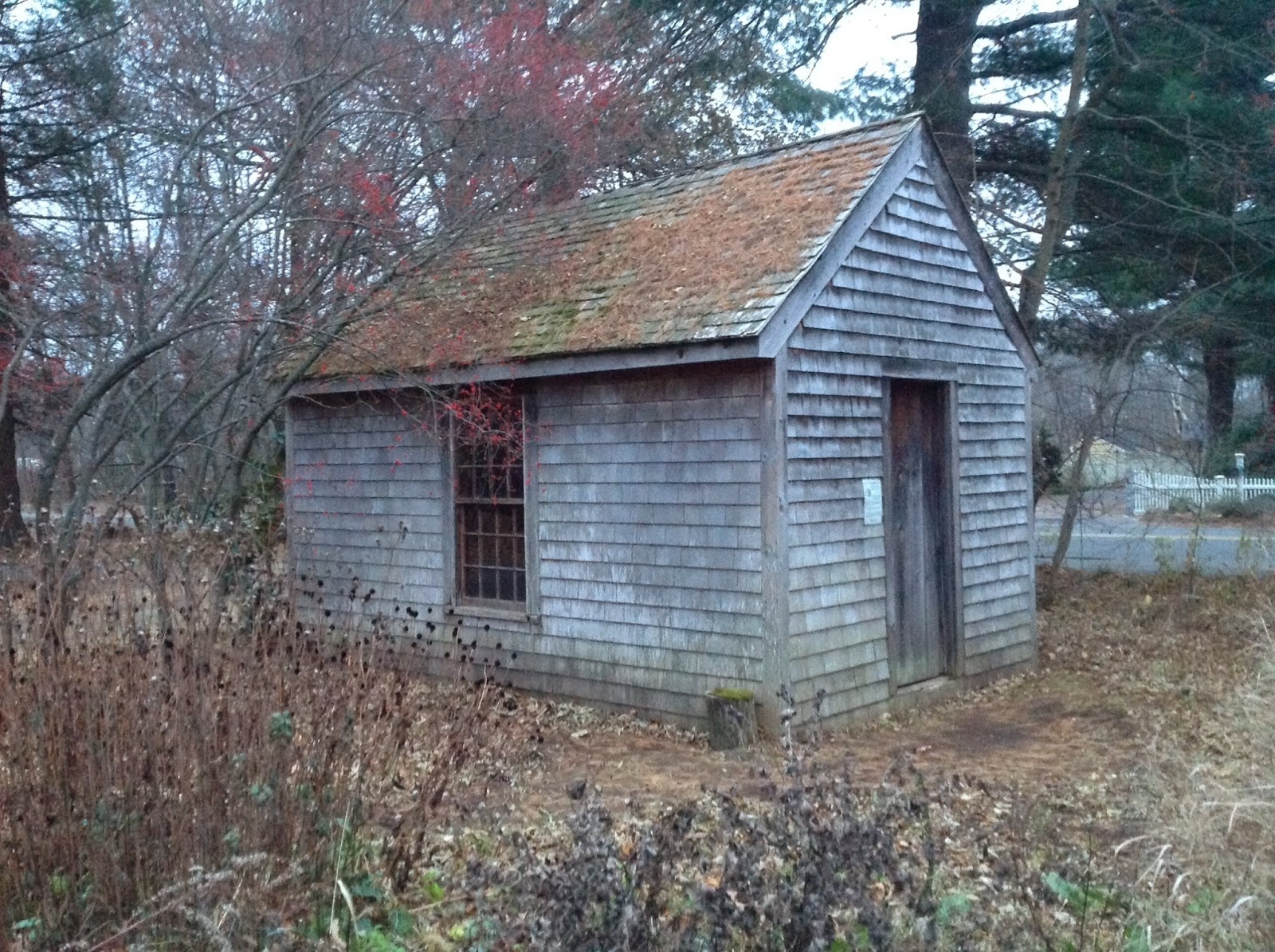 Life From The Roots: Some of Henry David Thoreau's Houses