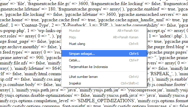 Cara Setting W3 Total Cache Wordpress dengan Mudah