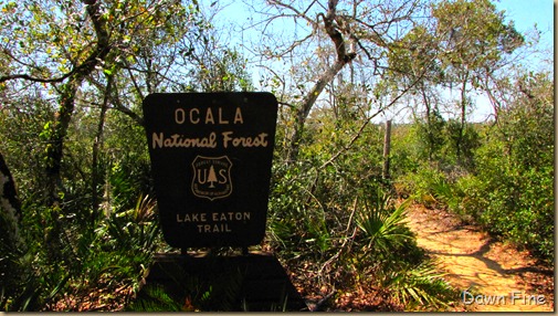 Ocala NF_001