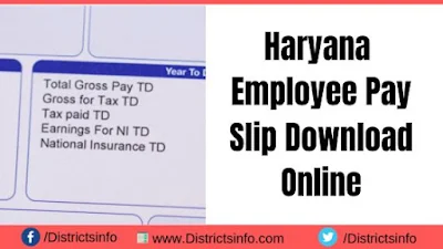 Haryana Employee Pay Slip download