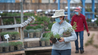 Shoppers at Fort Collins Nursery (photo courtesy of the Coloradoan)