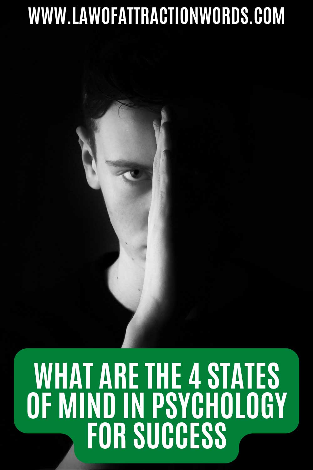 What Are The 4 States Of Mind In Psychology For Success