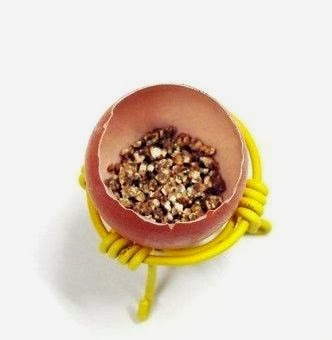  Bekas  Yang Berguna Kreasi Pot Bunga dari Kulit Telur 