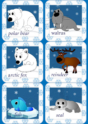 arctic animals english flashcards