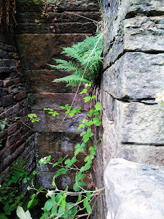 <img src="Wardle Tannery.jpeg" alt=" image of derelict mill in wardle, engine house" />