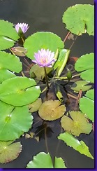 20150603_104449