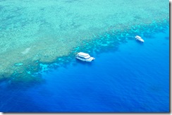 reef 3