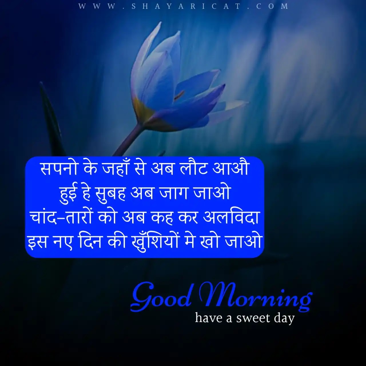 Good Morning Shayari in Hindi | गुड मॉर्निंग शायरी ...