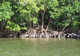 Bunche Beach, Florida