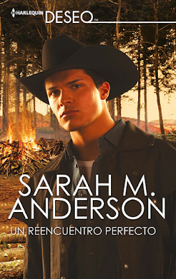 Sarah M. Anderson - Un Reencuentro Perfecto