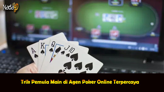 Trik Pemula Main di Agen Poker Online Terpercaya