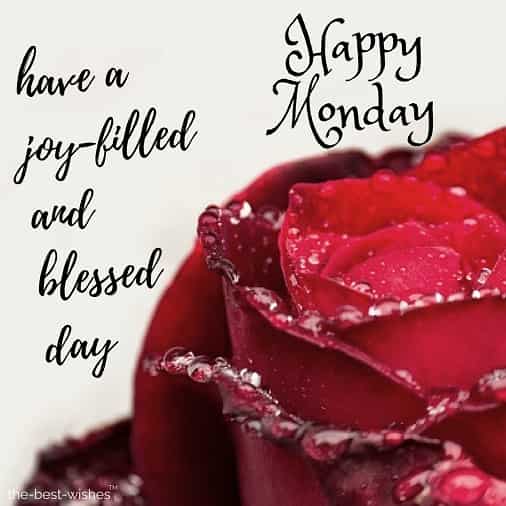 happy monday have a joy filled and blessed day