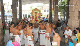 Ammavasai,Vaigasi, Purappadu,Video, Divya Prabhandam,Sri Parthasarathy Perumal, Triplicane,Thiruvallikeni,Utsavam,