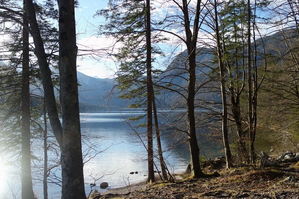 slovénie lac bohinj