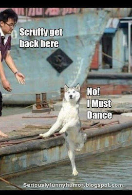 Scruffy get back here. No! I must dance! Dancing dog :D
