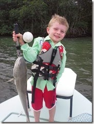 Will, redfish