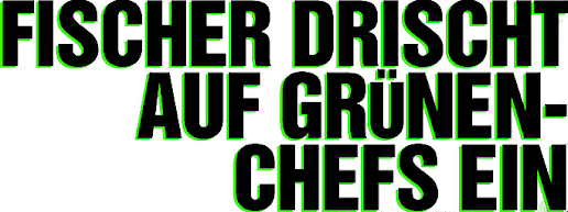 Fischer drischt auf Grünen-Chefs ein