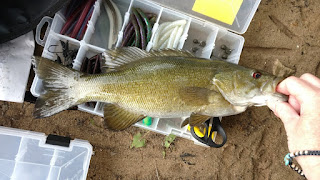 potomac smallmouth