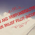 DUTIES AND RESPONSIBILITIES OF CRUISE RELIEF PILOT-INCOMMAND