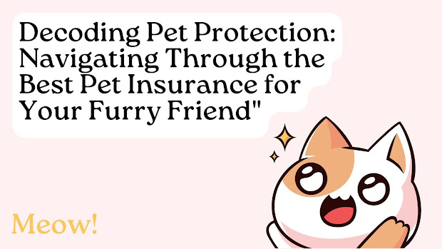 Decoding -Pet -Protection