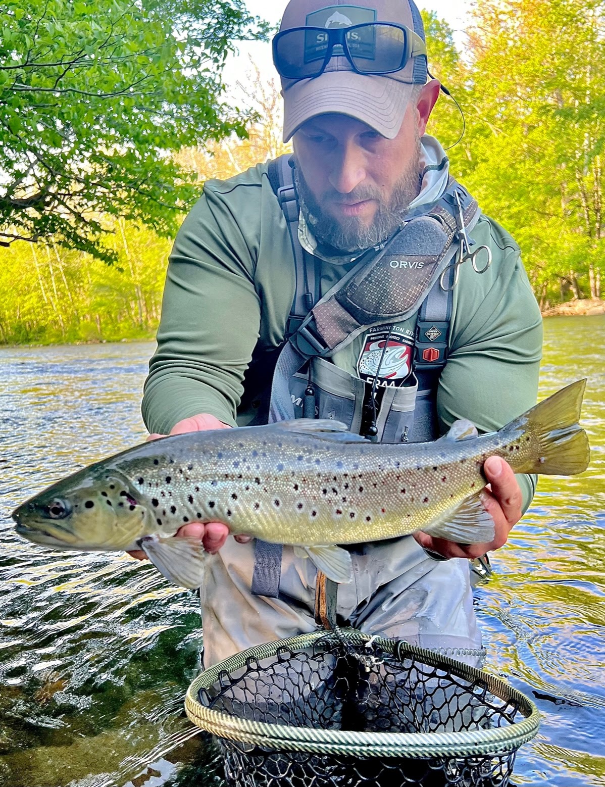 Farmington River Overview: Best Flies, Where to Eat and Stay, How