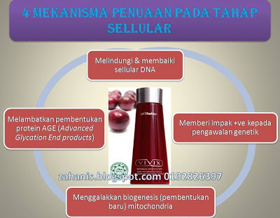 vivix shaklee anti penuaan