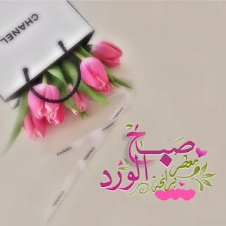 صور صباح الورد والياسمين